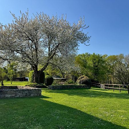 Отель Le Domaine Du Ganquis Belz Экстерьер фото