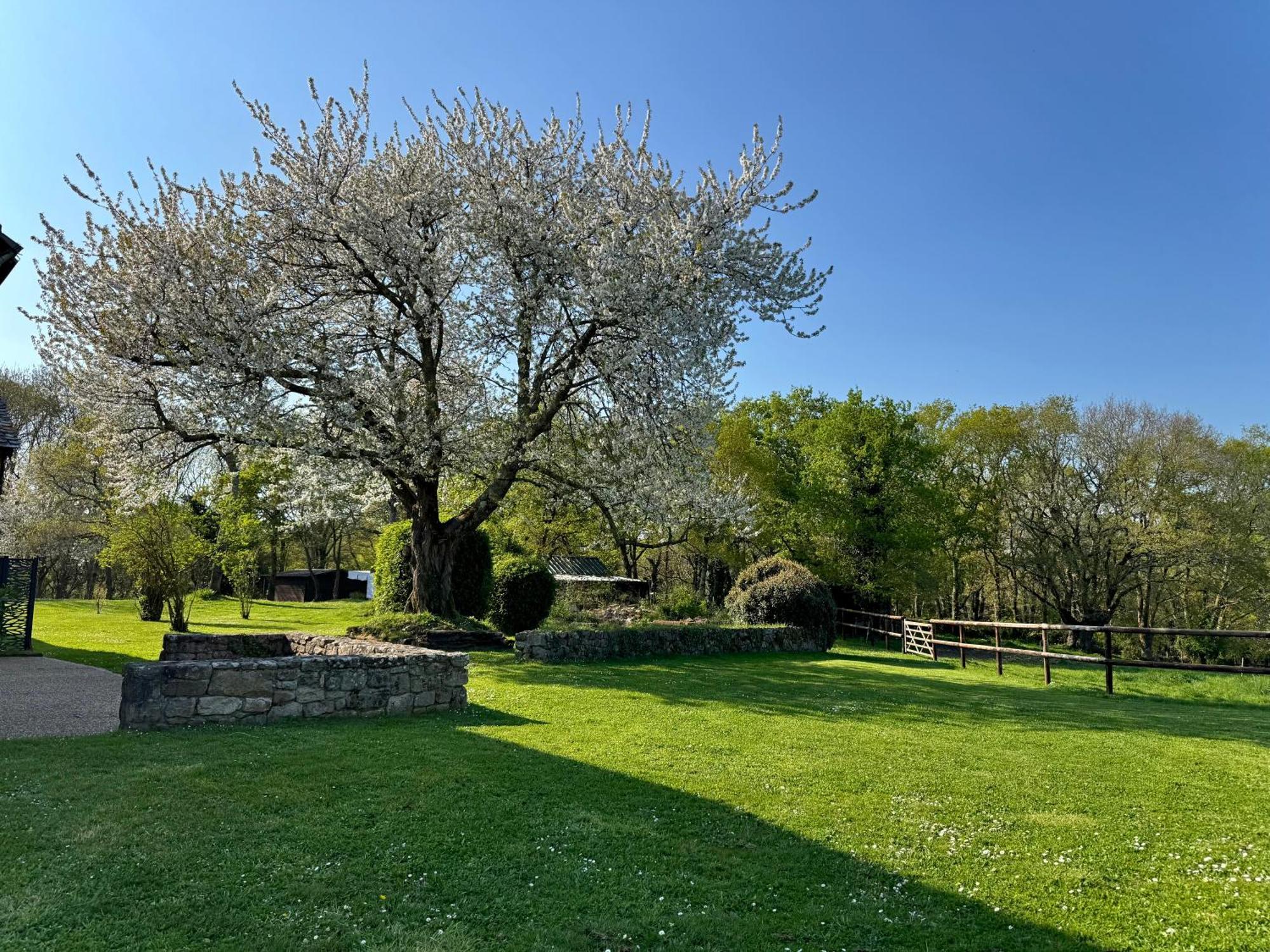 Отель Le Domaine Du Ganquis Belz Экстерьер фото
